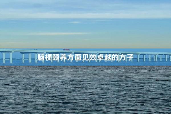 脑梗颐养方面见效卓越的方子