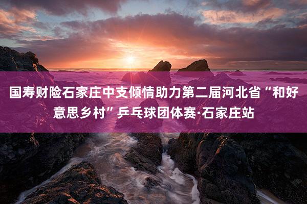 国寿财险石家庄中支倾情助力第二届河北省“和好意思乡村”乒乓球团体赛·石家庄站